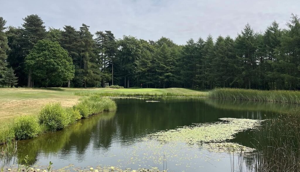 Signature par 3 - 16th Hole